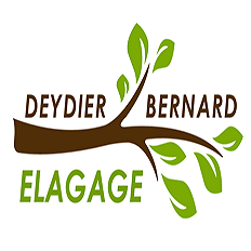 Deydier Bernard